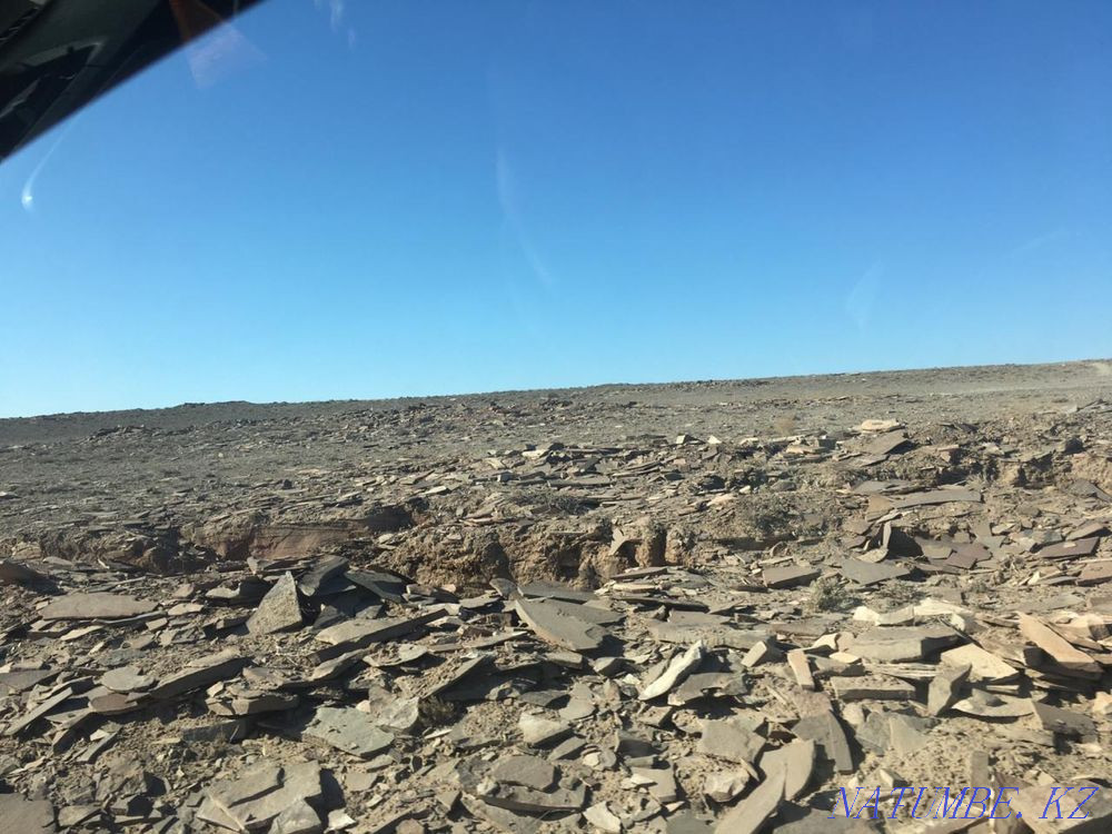 Сдам в аренду землю  - изображение 5