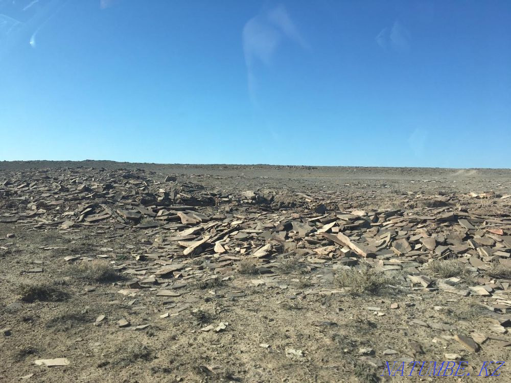 Сдам в аренду землю  - изображение 4