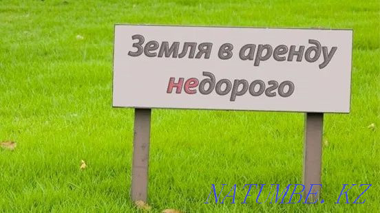 rent land Ust-Kamenogorsk - photo 1