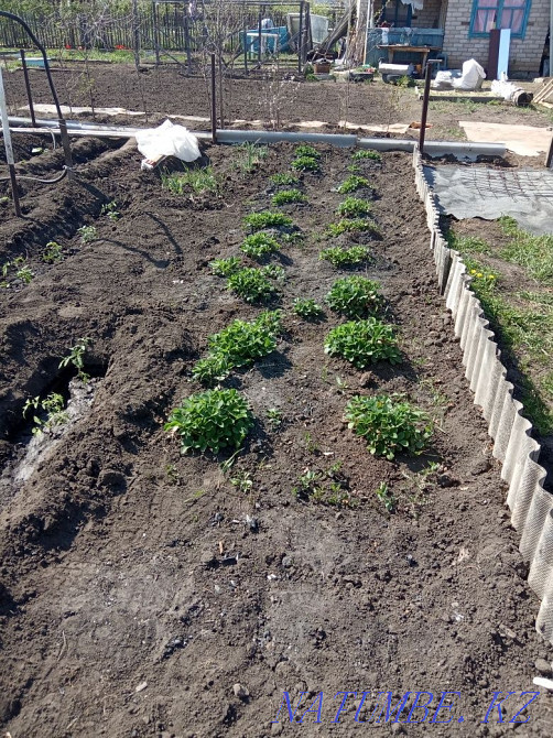 Rent a cottage for the season May to September  - photo 1