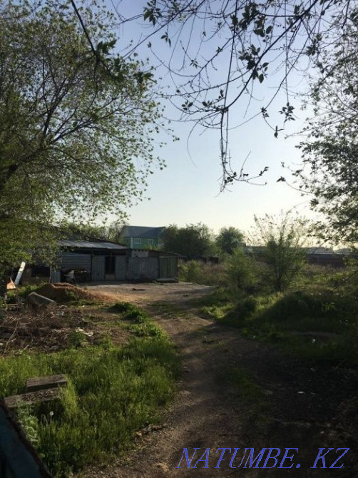 Renting out agricultural land  - photo 2