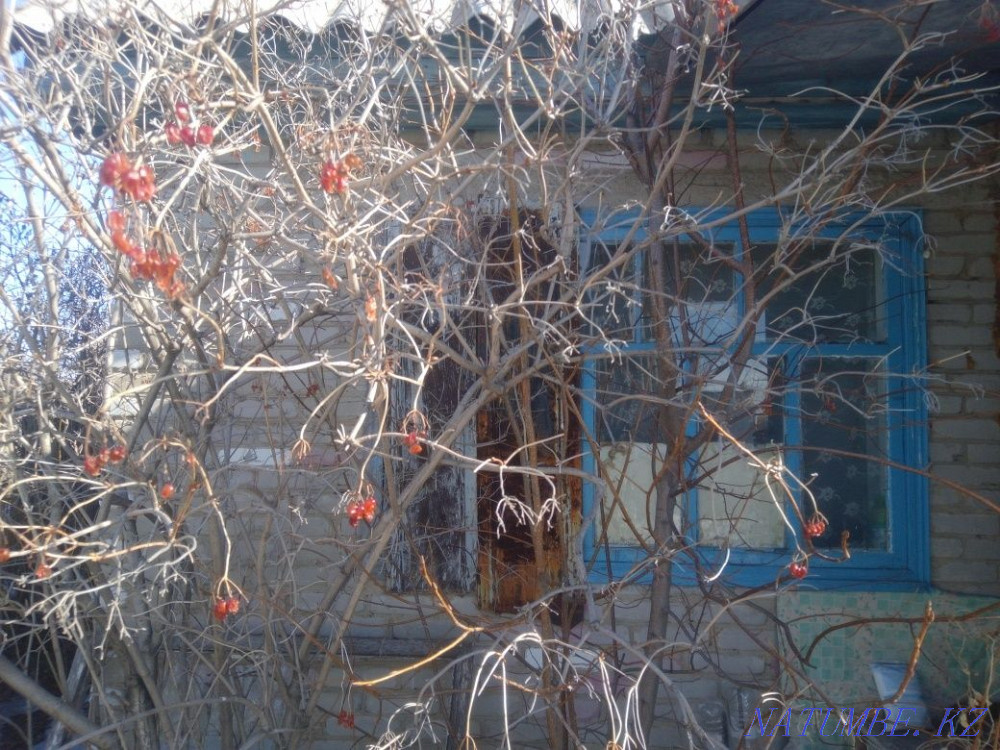 Rent a cottage for rent Gardener builder ksk Kostanay - photo 2