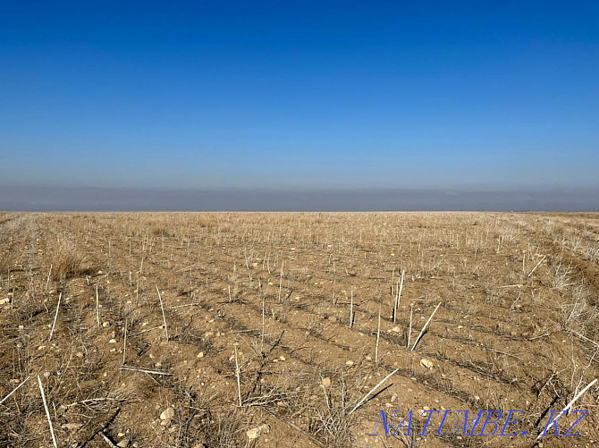 Plot 161 ha. 8 km from the village of Aisha Bibi.  - photo 4
