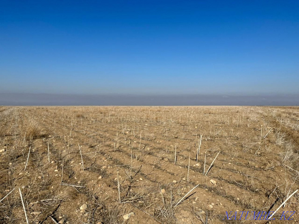 Участок 161 га. 8 км от село Айша бибі.  - изображение 4