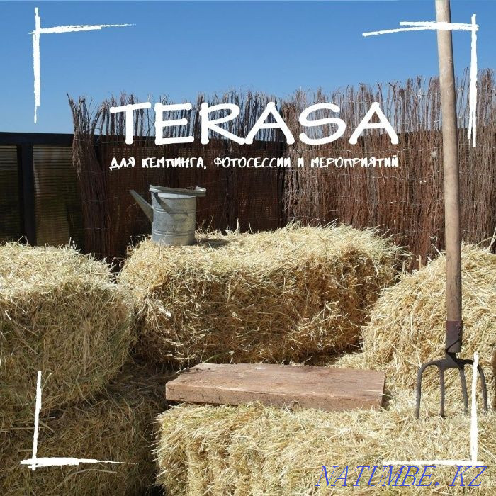 Земля в аренду с видом на город Каргалы - изображение 2