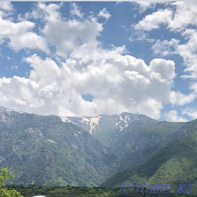 Сдам дачу посуточно  - изображение 1