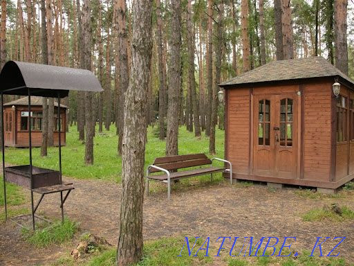 Rent a plot in the forest Kostanay - photo 4