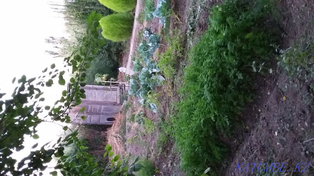 Country house with summer house Kyzylorda - photo 4