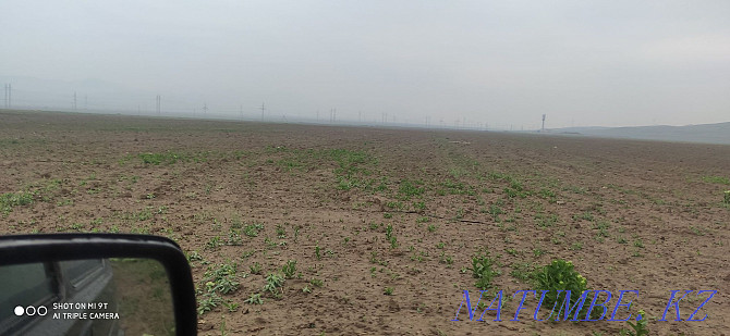 Land for rent 20g plowed 15g Taraz - photo 8