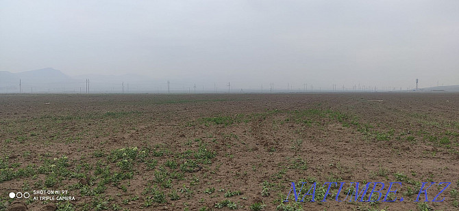 Land for rent 20g plowed 15g Taraz - photo 7