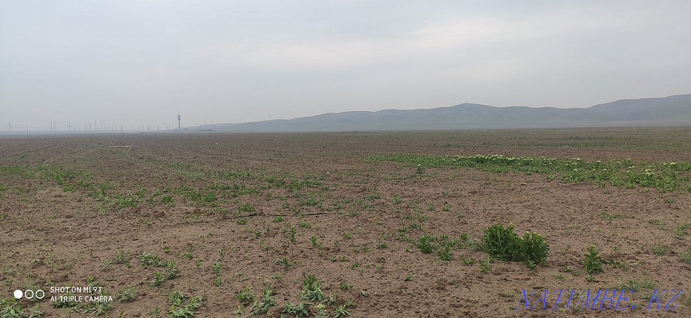 Земля в аренду 20г вспашена 15г Тараз - изображение 6
