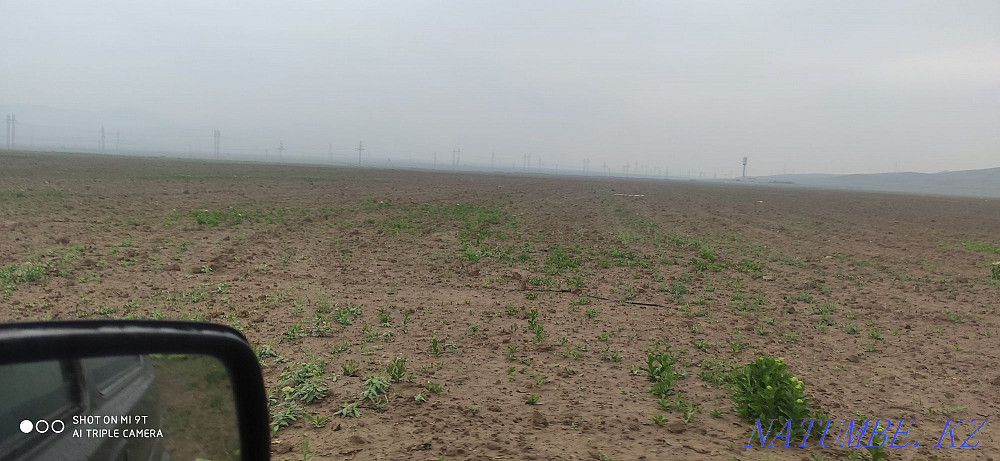 Земля в аренду 20г вспашена 15г Тараз - изображение 8