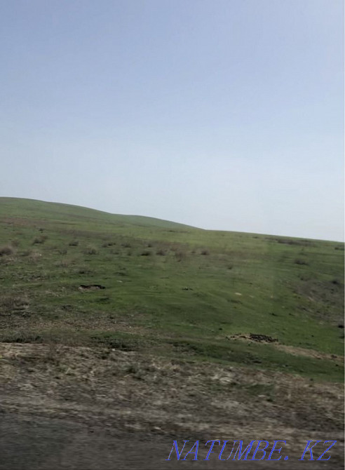 Land 25 ha Taldykorgan - photo 3