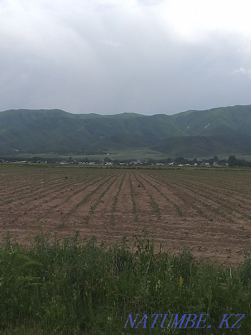 Zher, land, farm, sting, rent, 4.55ha  - photo 2