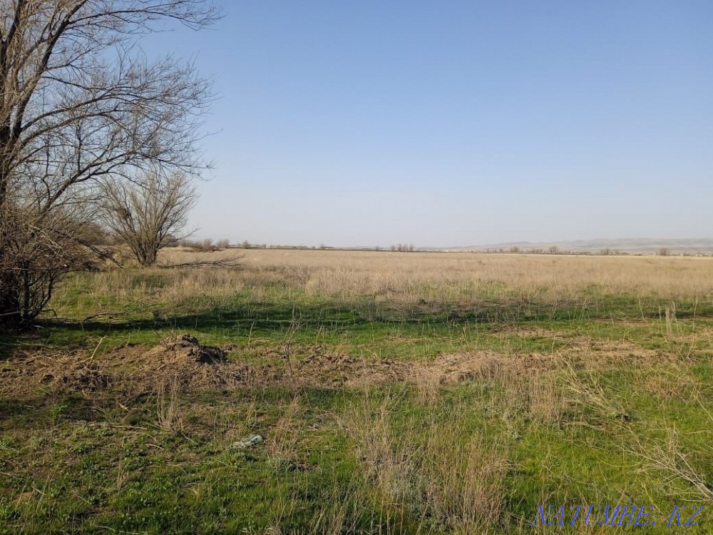 Rent 15 hectares Taldykorgan - photo 3