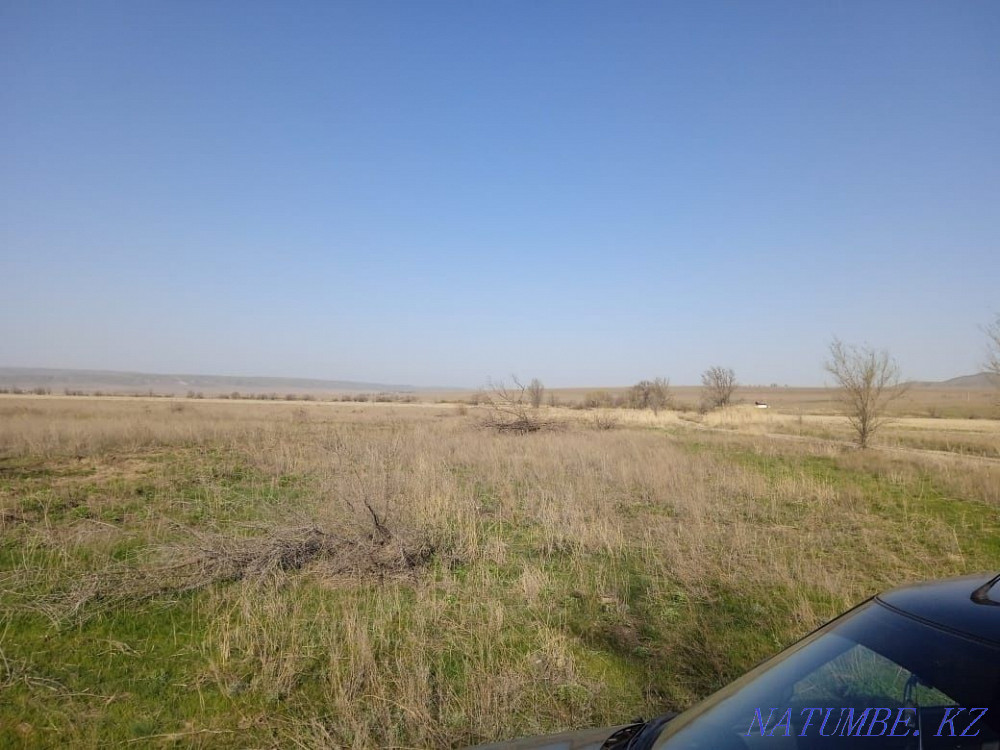 Rent 15 hectares Taldykorgan - photo 2