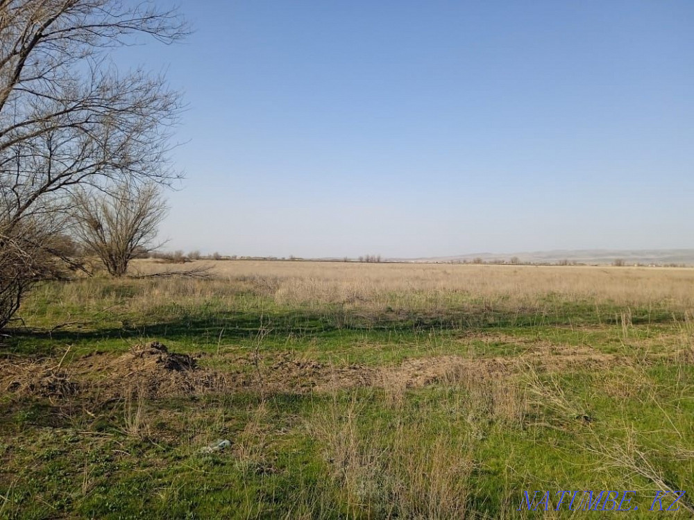 Rent 15 hectares Taldykorgan - photo 1