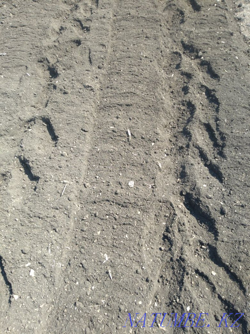 Сдам дачу на длительный срок 40 тысяч тенге за весь период Валиханово - изображение 1