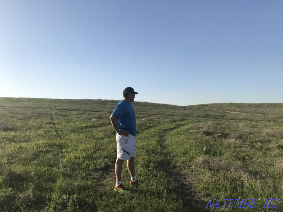 Сдам в аренду земельный участок под пастбище в Шамалгане Каскелен - изображение 1