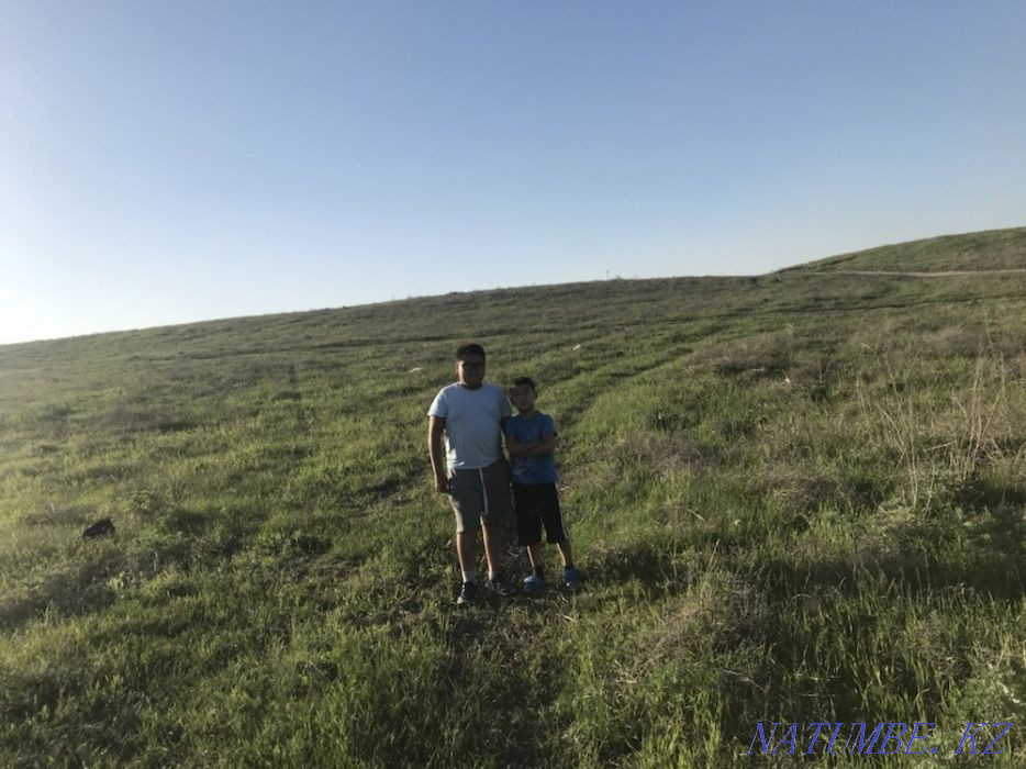 Сдам в аренду земельный участок под пастбище в Шамалгане Каскелен - изображение 2