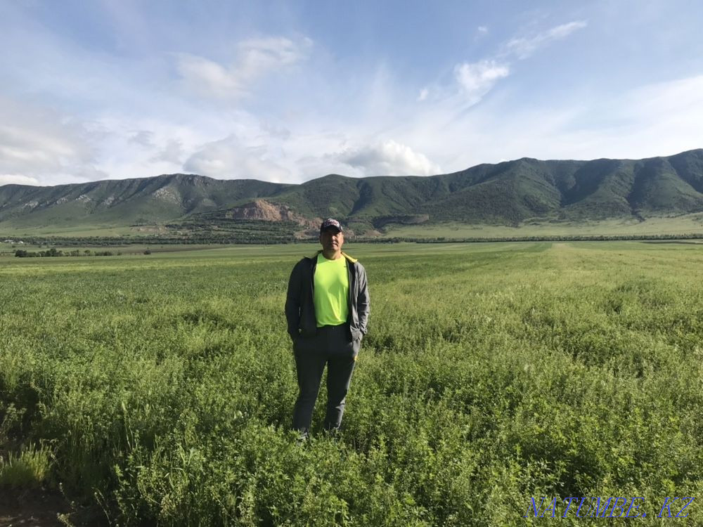 Сдам в аренду земельный участок по сельхоз назначения Каскелен - изображение 5