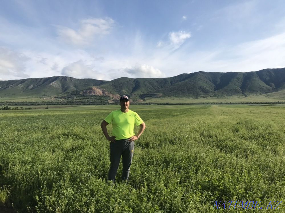 Сдам в аренду земельный участок по сельхоз назначения Каскелен - изображение 3