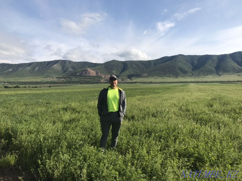 Сдам в аренду земельный участок по сельхоз назначения Каскелен - изображение 6