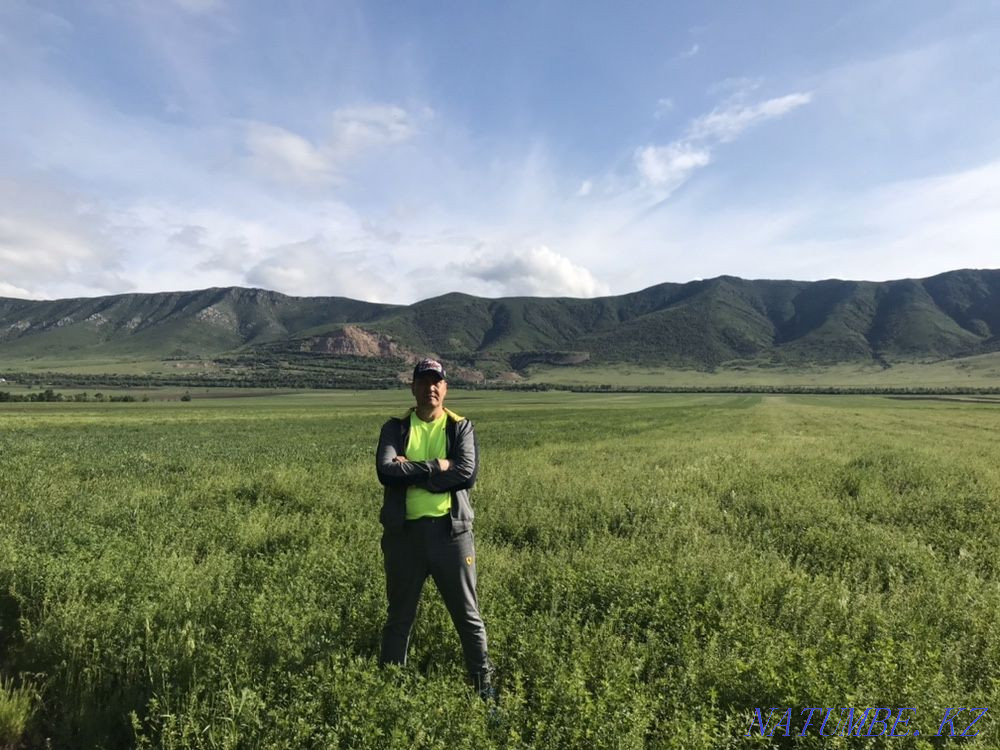 Сдам в аренду земельный участок по сельхоз назначения Каскелен - изображение 7