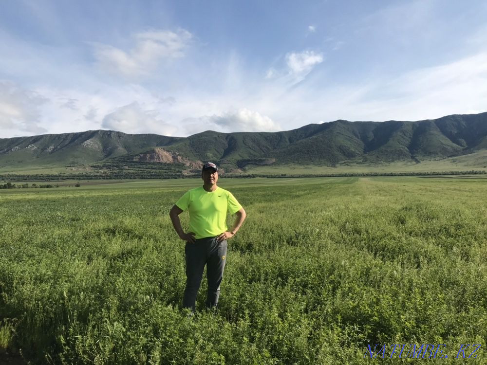 Сдам в аренду земельный участок по сельхоз назначения Каскелен - изображение 1