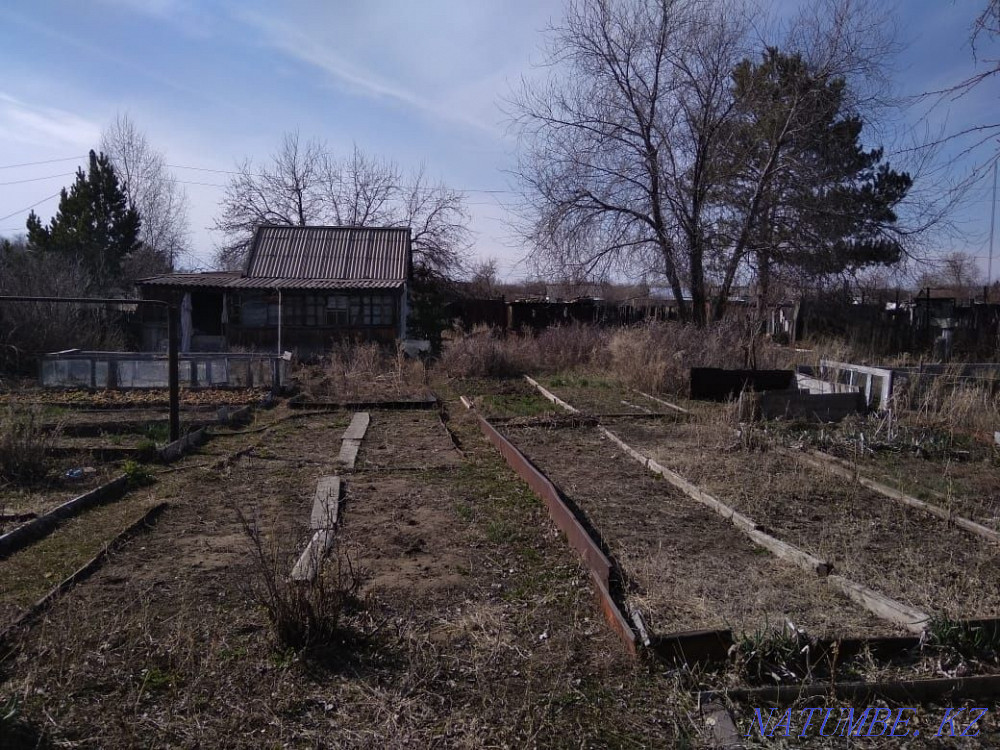 Сдам в аренду дачу Нуркен - изображение 1
