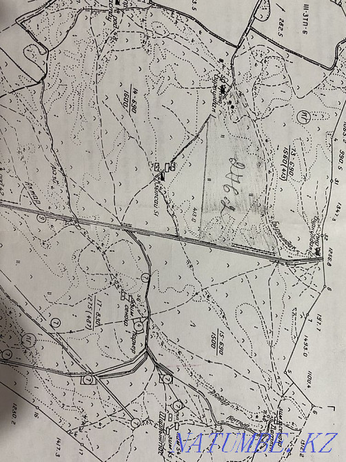 Land 276 hectares  - photo 1