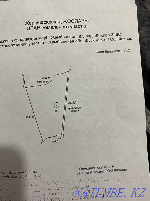 Land 276 hectares  - photo 2