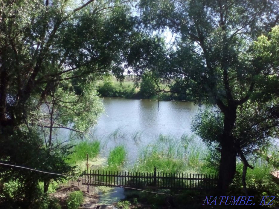 Земля 25 соток в аренду на берегу озера Уральск - изображение 1