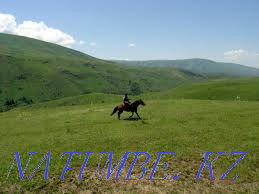 URGENTOOOOOO FAZENDA rent for a season inexpensively  - photo 1