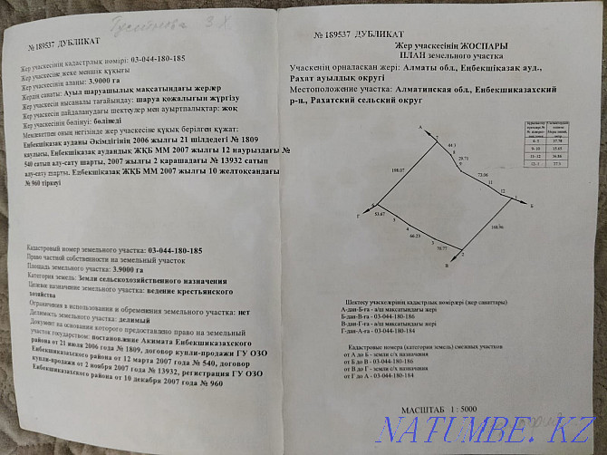 Земля 3.8 га Выкупленная делимая все док в порядке  - изображение 2