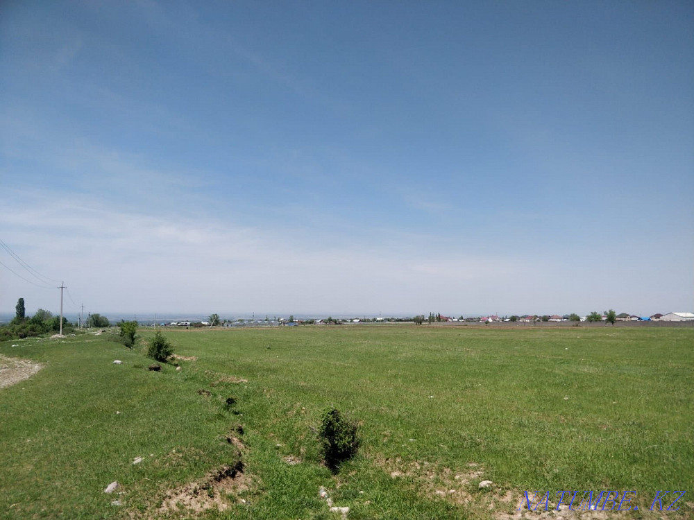 Land 3.8 ha Redeemed divisible everything dock is ok  - photo 4