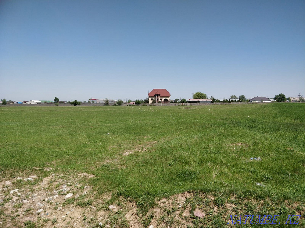 Land 3.8 ha Redeemed divisible everything dock is ok  - photo 3