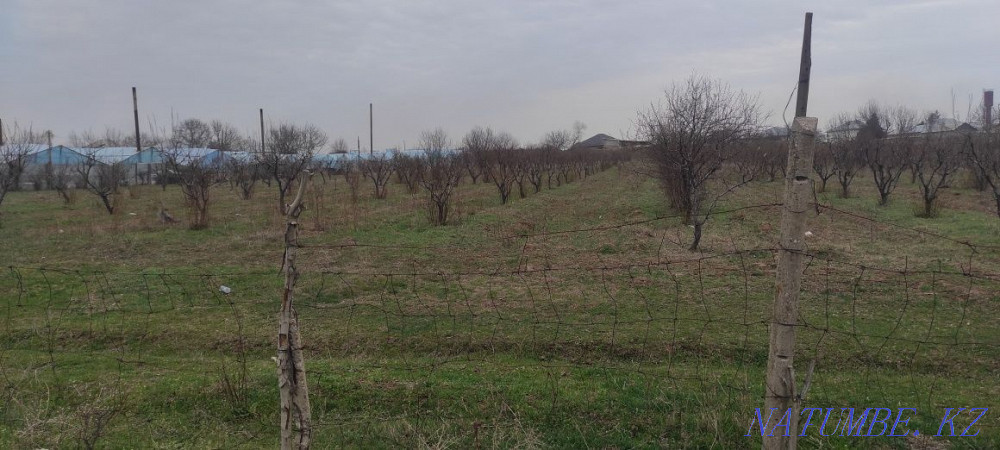 Gers rent 1.5 ha  - photo 1