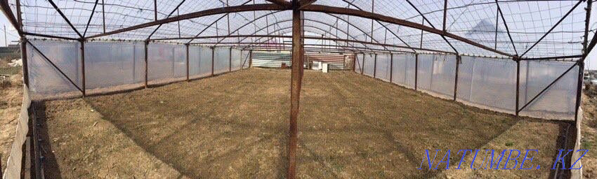 Сдам в аренду теплицу «Караой» Отеген батыра - изображение 2