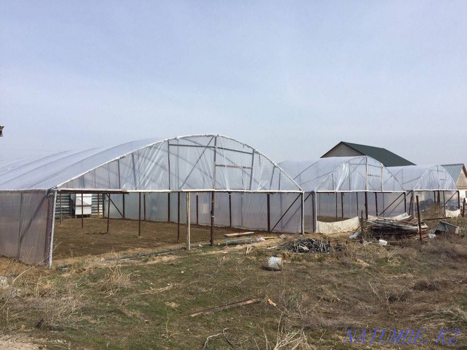 Сдам в аренду теплицу «Караой» Отеген батыра - изображение 1