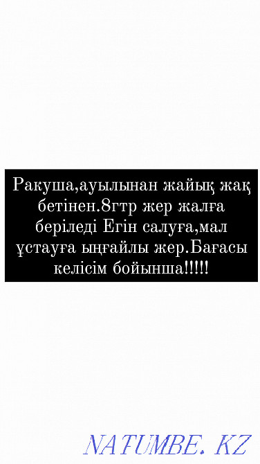 Almag?l Ulzhabayeva  - photo 1