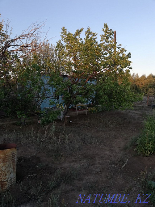 Сдам в аренду дачу Макарово - изображение 3