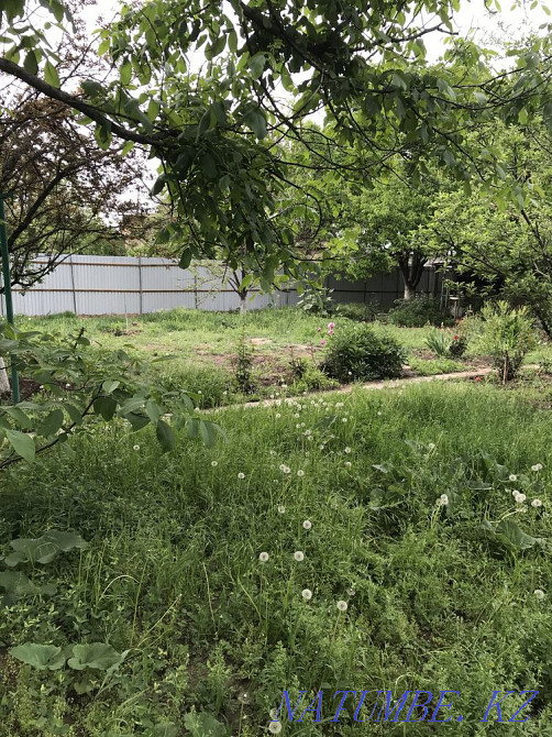 Аренда дачи Шымкент - изображение 4