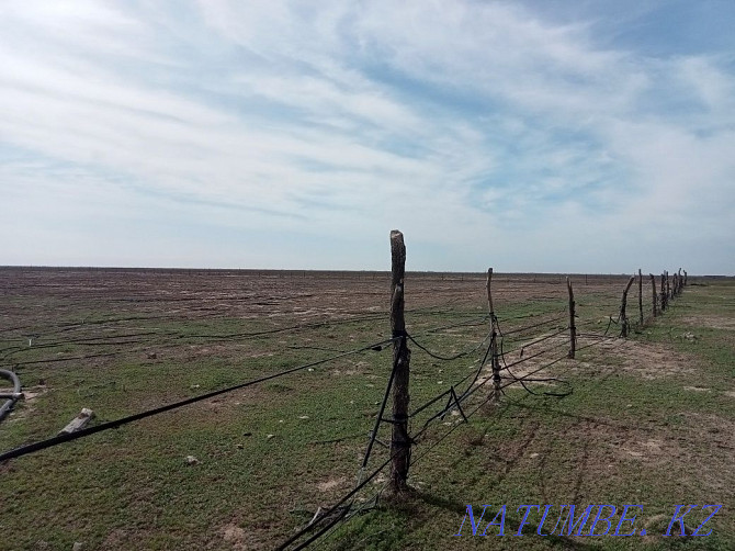 Арэнда егіндік жор. Чернак - photo 3