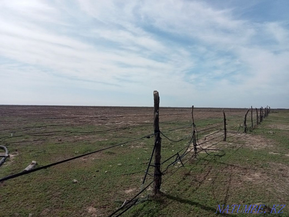 Rental Чернак - photo 3