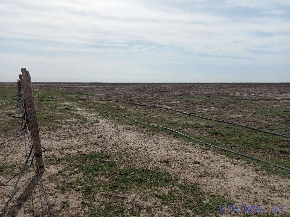 Rental Чернак - photo 1