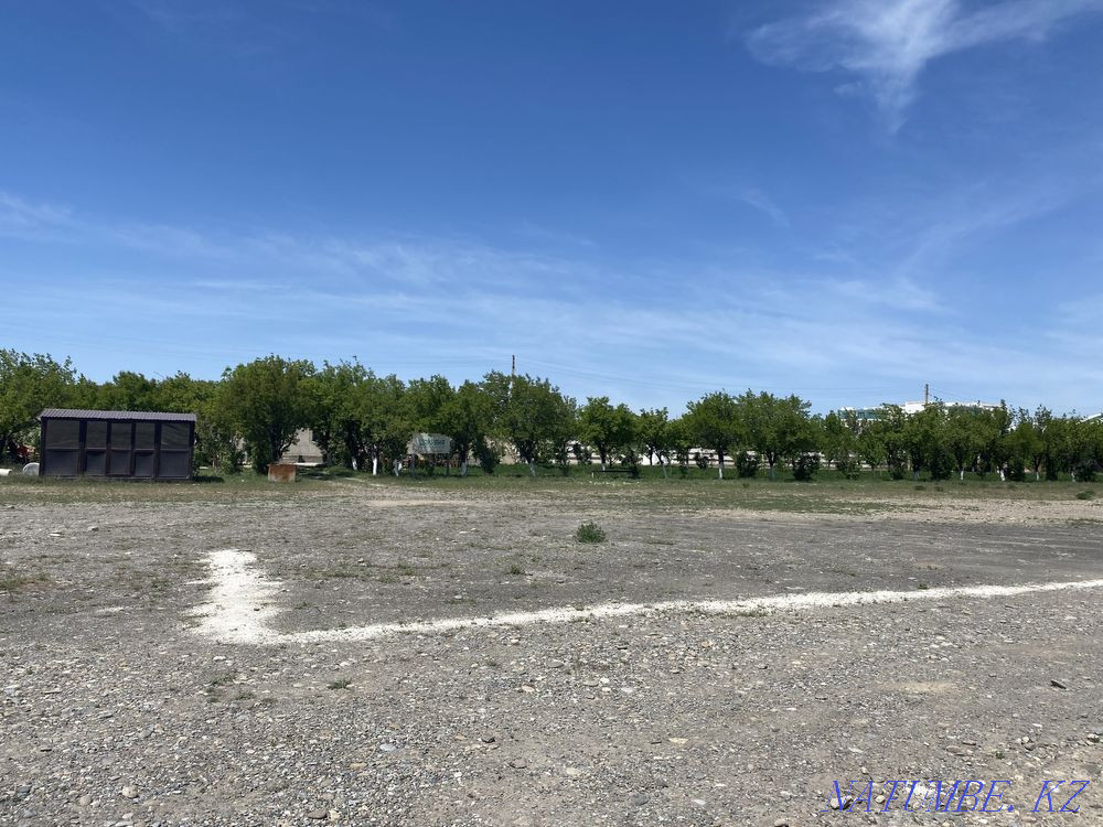 Sorry? Turkestan - photo 8