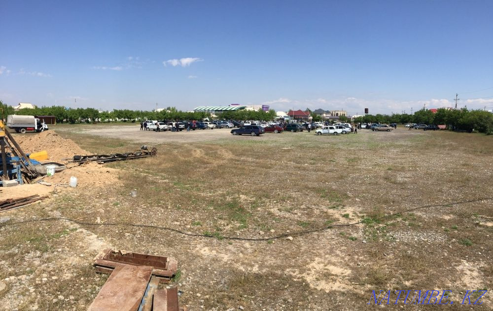 Sorry? Turkestan - photo 2