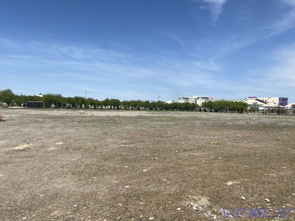 Sorry? Turkestan - photo 6