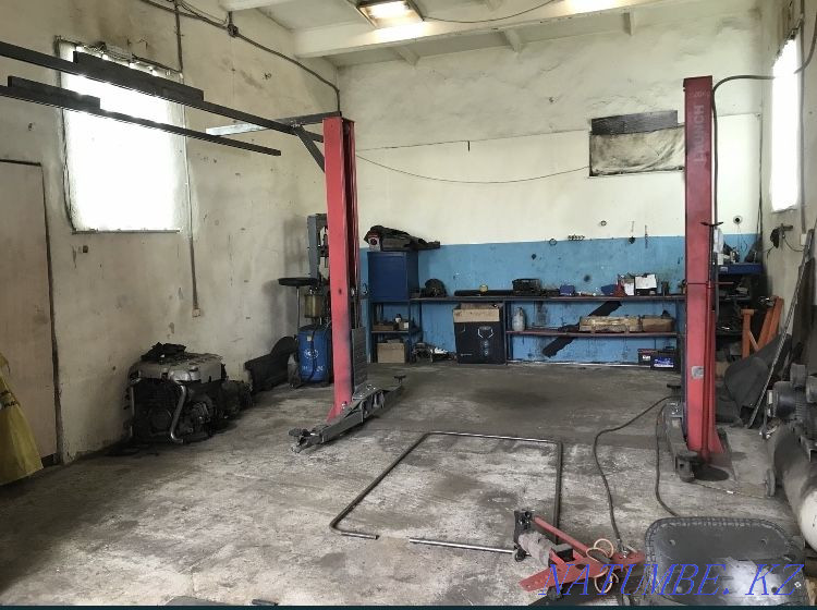 Boxing under Sto Almaty - photo 3